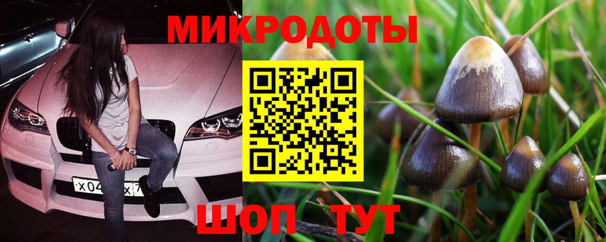 Балашов  Галлюциногенные грибы прущие грибы  Вход с VPN 