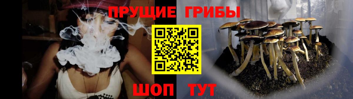 Галлюциногенные грибы Magic Shrooms Балашов