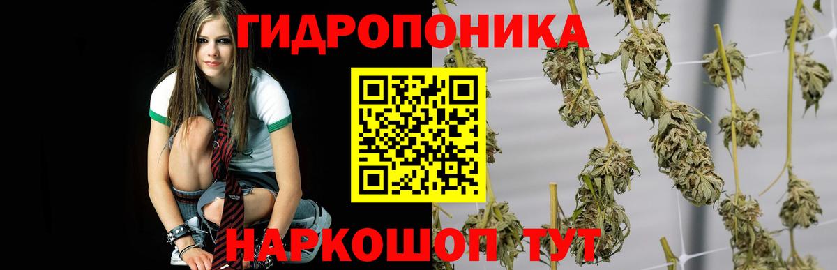 Бошки Шишки сатива  Шишки марихуана индика  Вход с VPN  Балашов  Канабис SATIVA & INDICA 